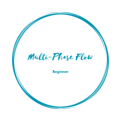 MULTI-PHASE Flow: BEGINNER 