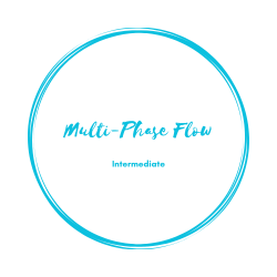 MULTI-PHASE Flow: INTERMEDIATE 