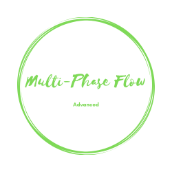 MULTI-PHASE Flow: ADVANCED Level