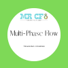 MULTI-PHASE Flow: ADVANCED Level